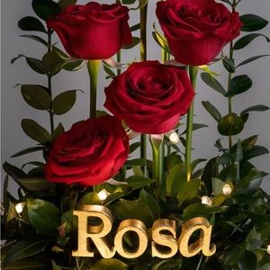 Meet your Posher, Rosa